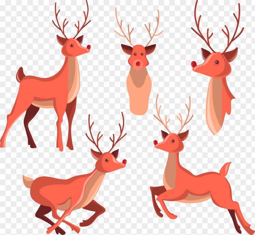 Flat Creative Deer Reindeer Drawing Illustration PNG