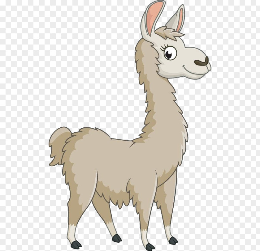 Llama PNG
