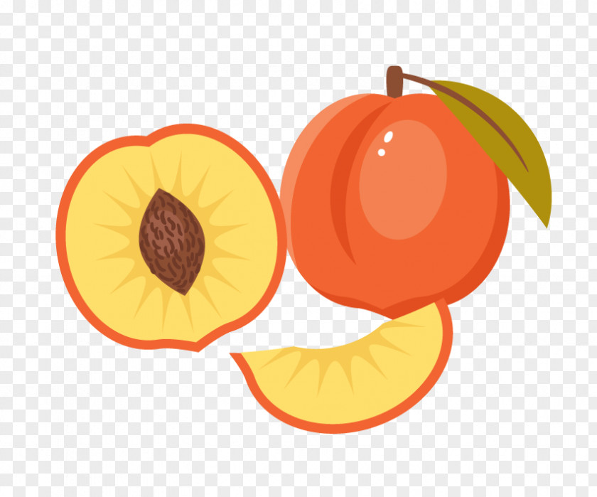 Peach Fruit Drawing Illustrator PNG