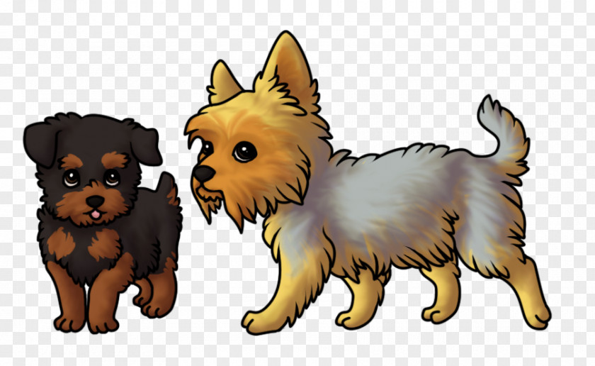 Yorkshire Terrier Australian Cairn Norwich Silky PNG