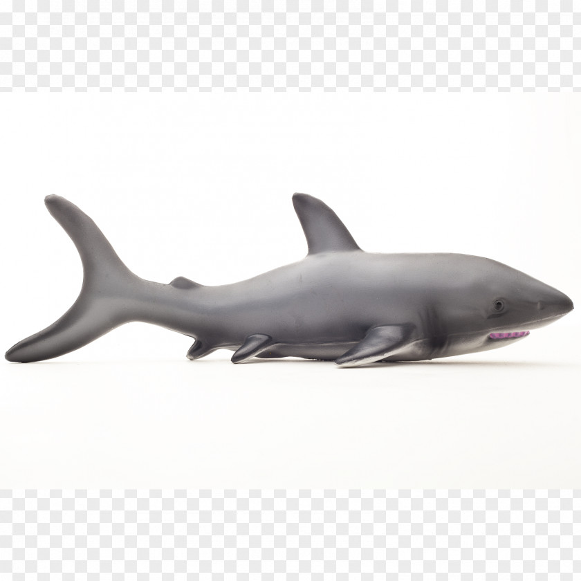 BABY SHARK Great White Shark Toy Marine Mammal Whale PNG