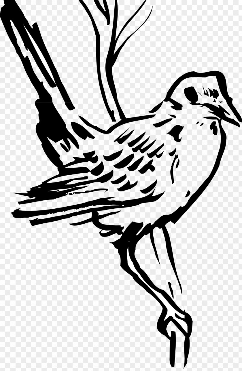 Drawing Feather Bird Wing Beak Clip Art PNG