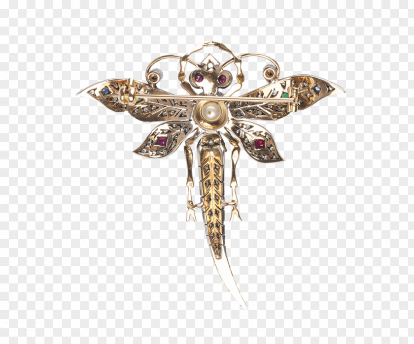 Insect Brooch Body Jewellery PNG