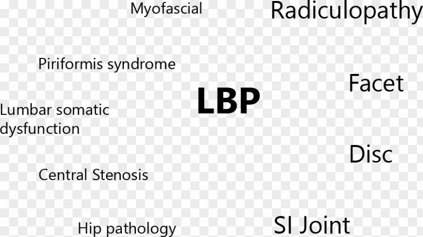 Low Back Pain Piriformis Syndrome Radiculopathy Human PNG