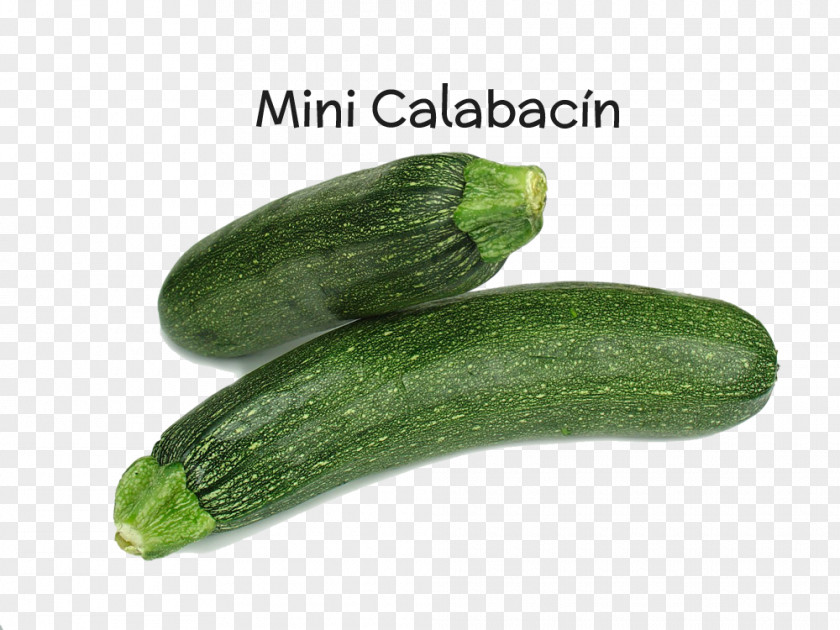 Vegetable Cucurbita Pepo Calabaza Cucumber Zucchini PNG