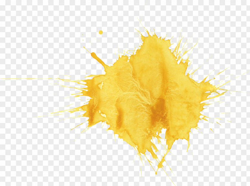 YELLOW Watercolor Painting PNG