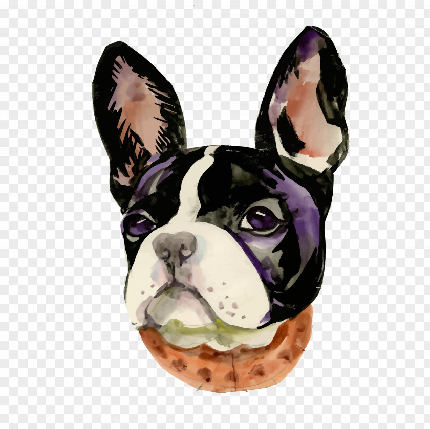 Bulldog Basketball Boston Terrier French Toy Snout PNG