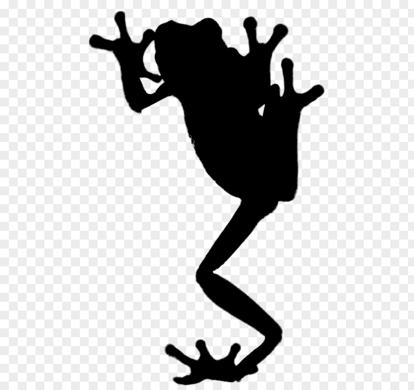 Clip Art Amphibians Human Behavior Shoe PNG