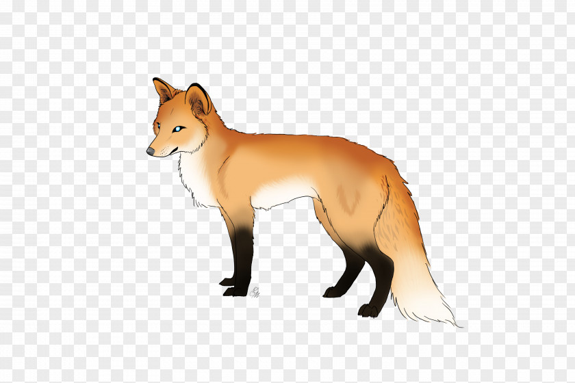 Dog Red Fox Breed Fur Fauna PNG