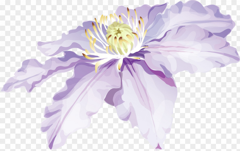 Flower Watercolour Flowers Watercolor Painting Drawing PNG