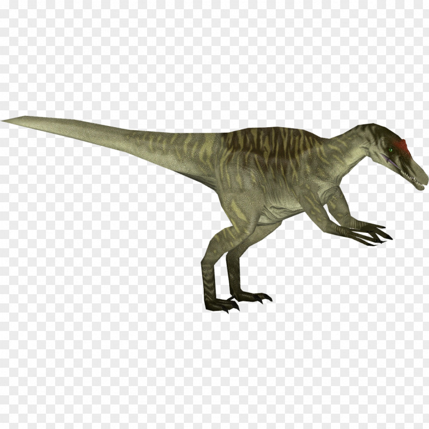 Jurassic Park Zoo Tycoon 2 Tyrannosaurus Baryonyx Dinosaur Iguanodon PNG