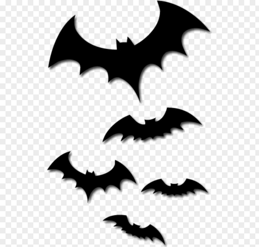 Propose Day Bat Clip Art PNG