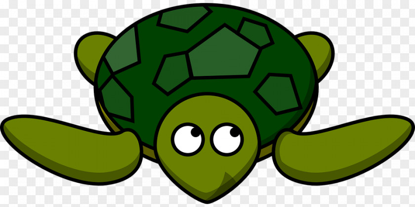 Turtle Green Sea Clip Art PNG