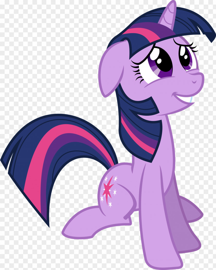 Twilight Sparkle Pony Pinkie Pie Rainbow Dash Derpy Hooves PNG