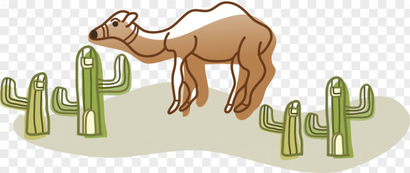 Cute Cartoon Camel Clip Art PNG