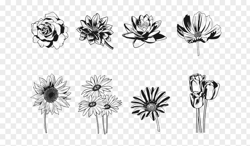 Flowers Silhouette Floral Design Flower PNG