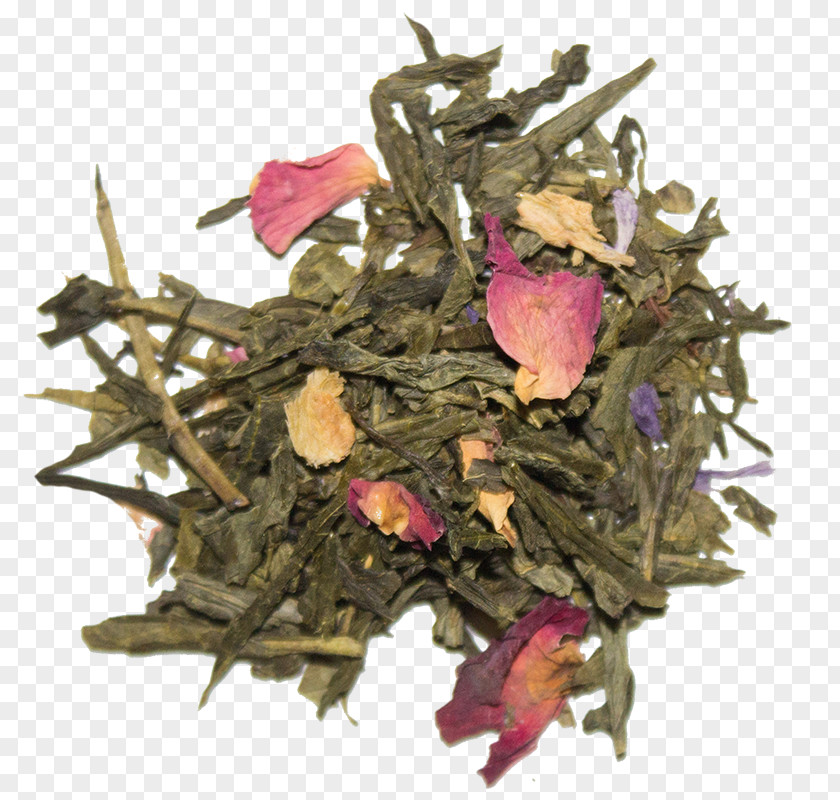 Fresh Jasmine Tea Fortnum & Mason White Sencha Blending And Additives PNG