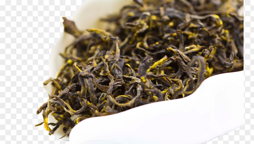 Green Tea Leaves Nilgiri Dianhong Golden Monkey Plant PNG