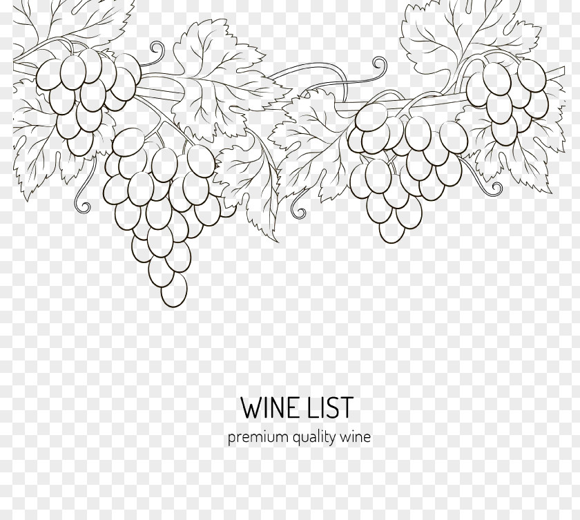 Hand-painted Grapes Wine Drawing Download Grape PNG