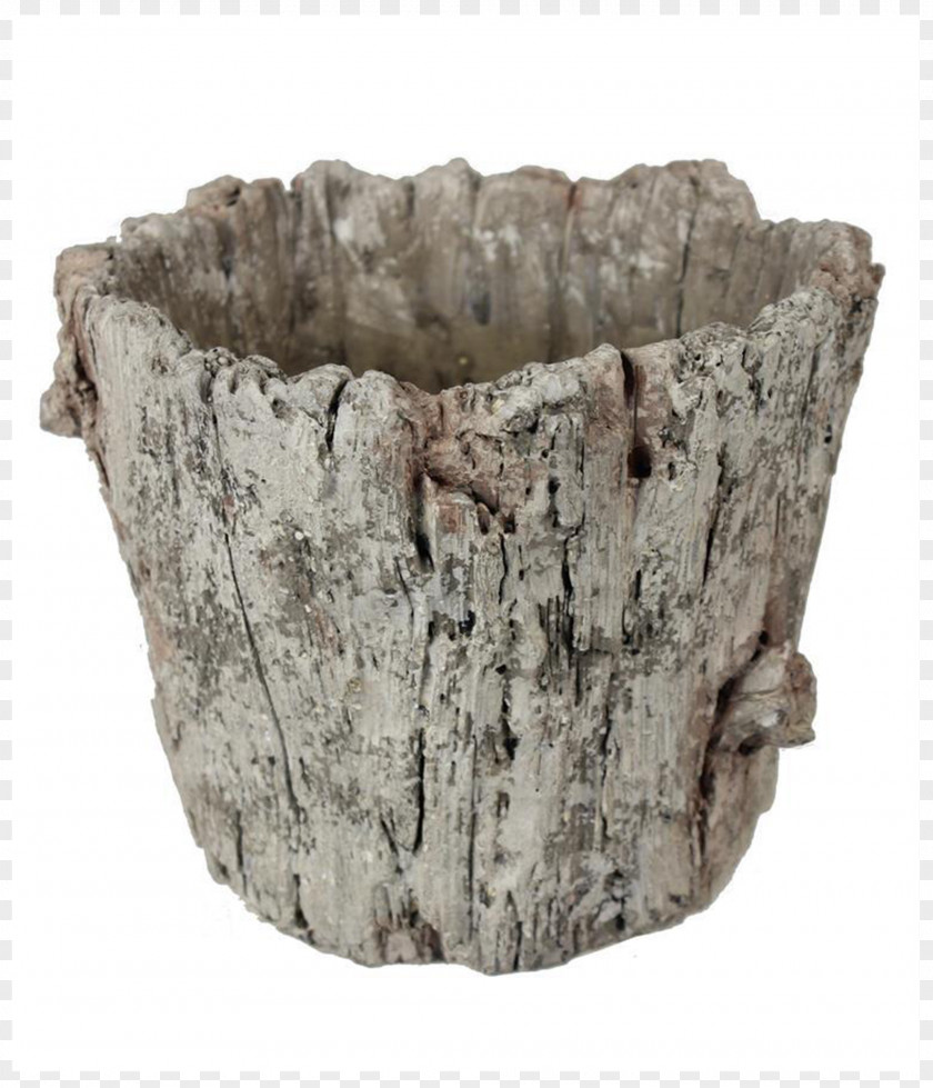 Bark Interior Design Services Trunk Tree Wood PNG