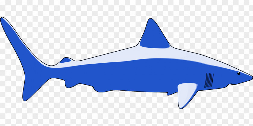 Blue Shark Clip Art PNG