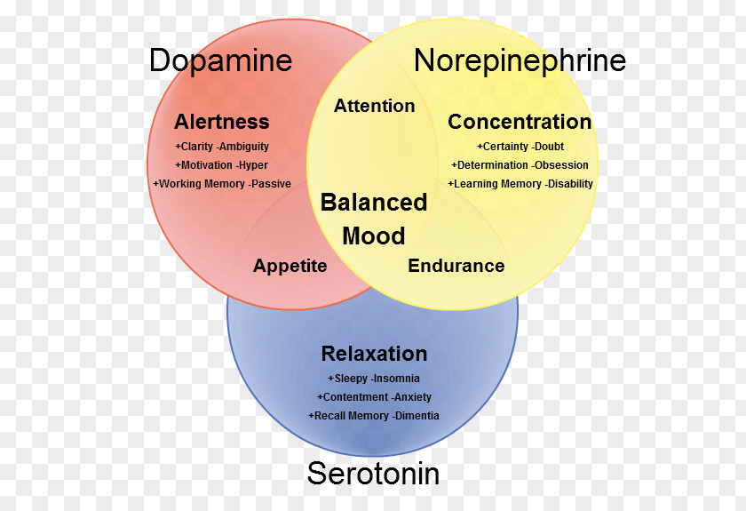 Brain Neurotransmitter Dopamine Norepinephrine Synapse Serotonin PNG