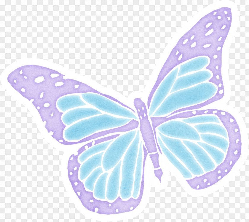 Butterfly Chart PNG