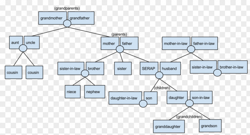 Nephew And Niece Family Tree Homework Knowledge Learning PNG