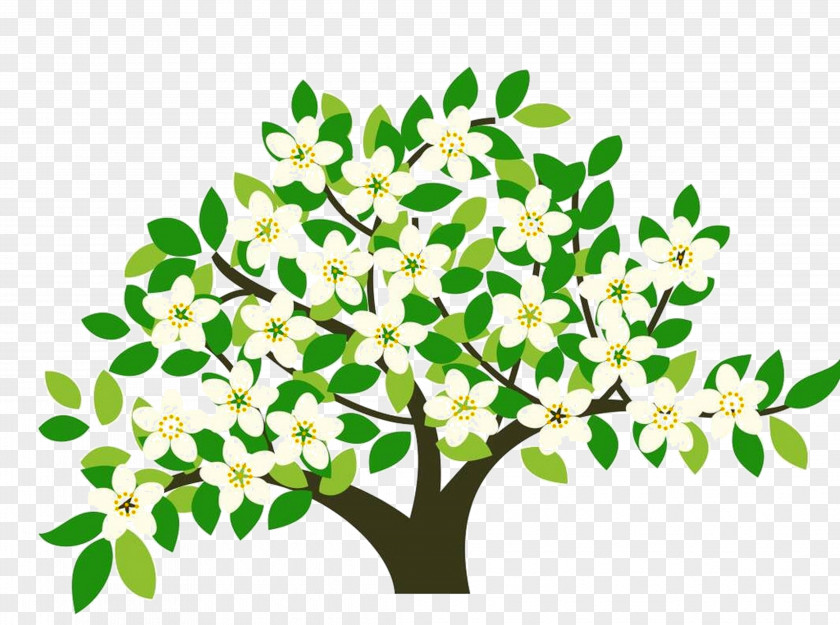 Pear Tree A Clean City: The Green Construction Story Satsuma Mandarin Illustration PNG