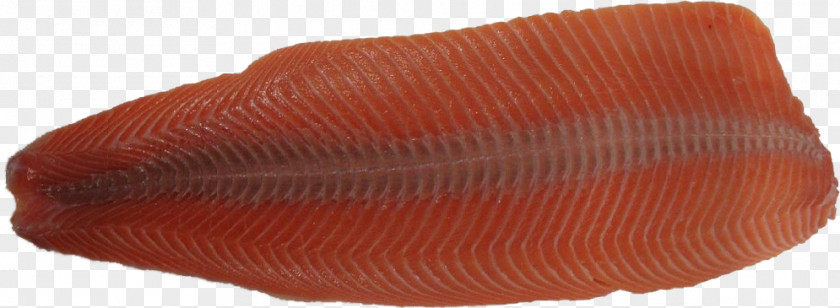 Salmon Fillet Steak Fish Skin PNG