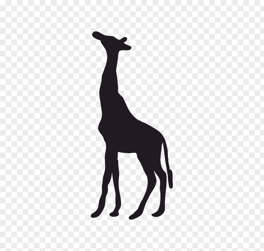 Silhouette Clip Art Image Northern Giraffe PNG
