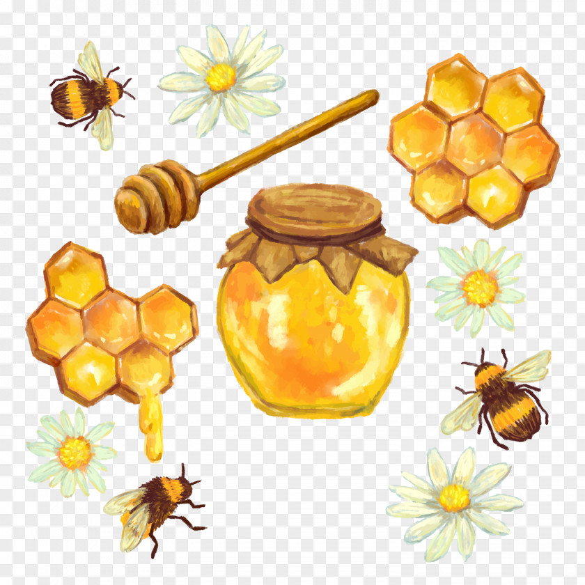 Vector Honey Cans Honeycomb Nectar PNG