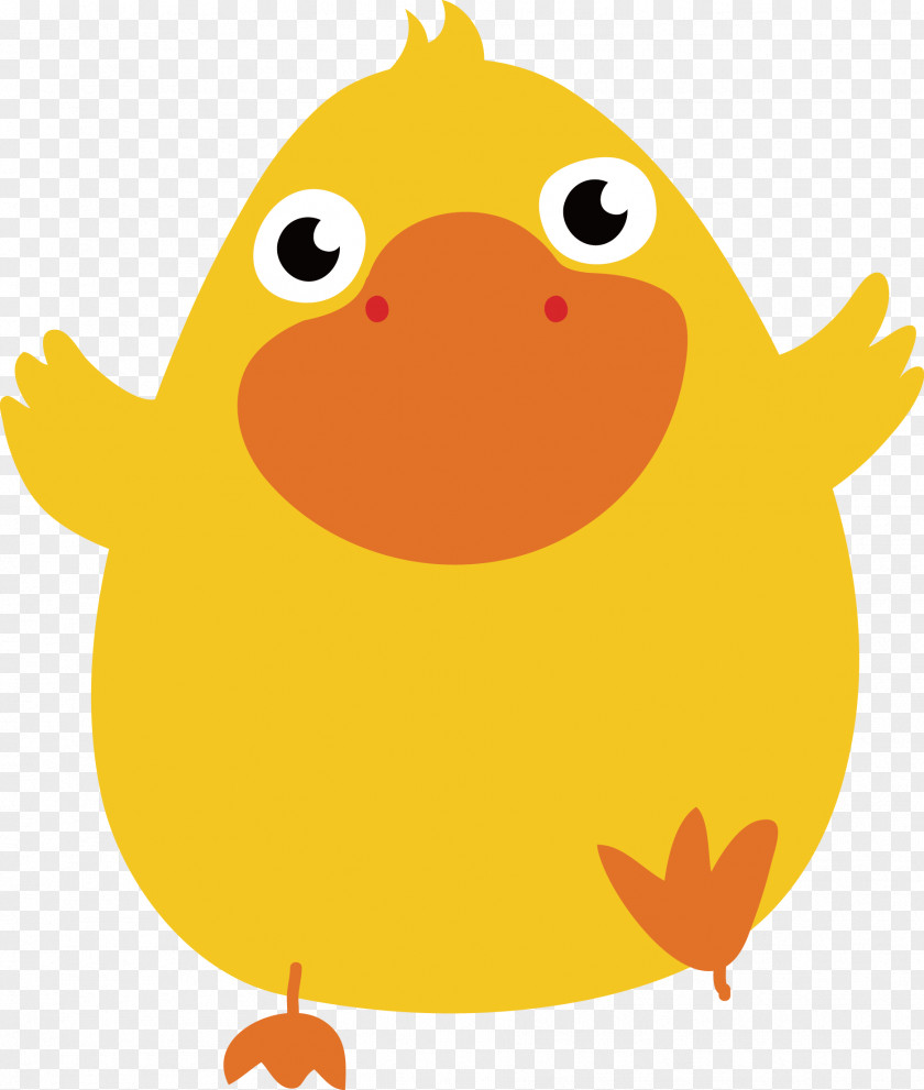 Duck Mouth Cartoon Illustration PNG