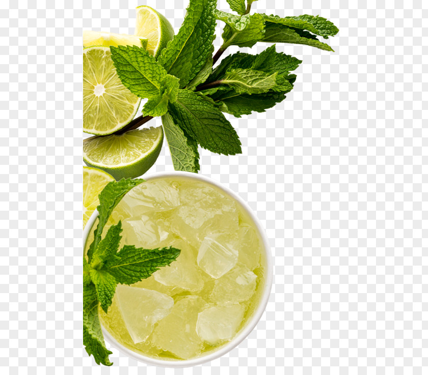 Mojito Limeade Cocktail Garnish PNG