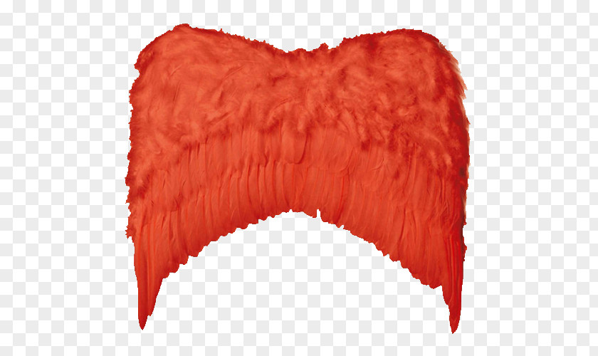 Oliva Feather Aile Costume Disguise Red PNG
