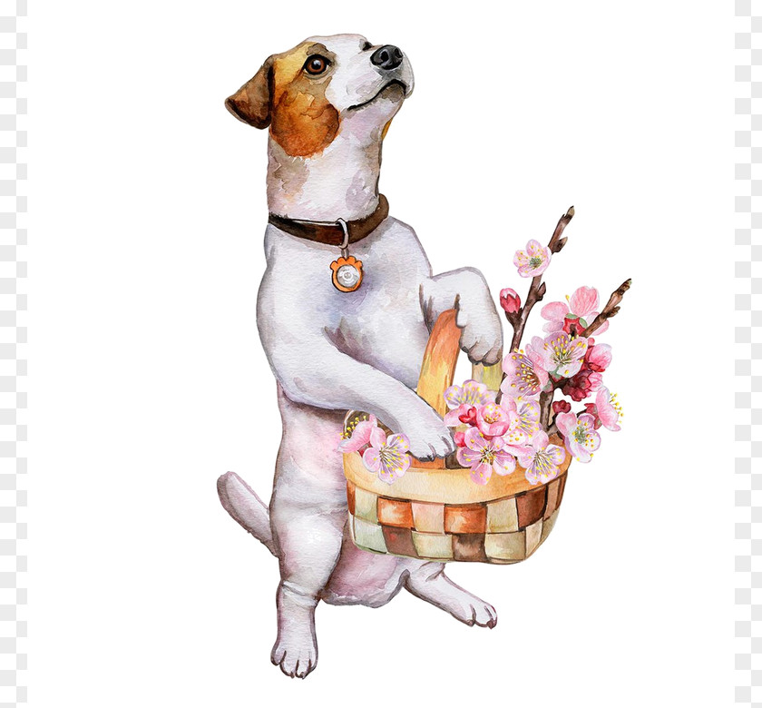 Puppy Jack Russell Terrier Illustration Image Dog Behavior PNG