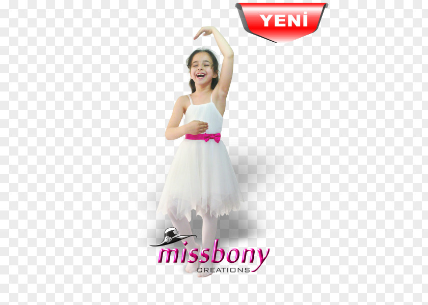 Dress Tutu Costume Ballet Evening Gown PNG