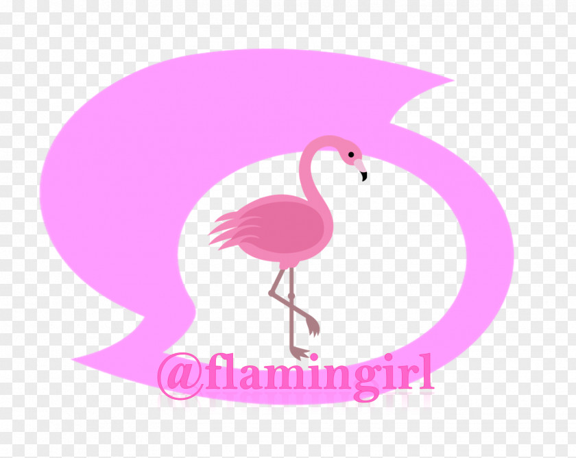 Flamingo Baby Clip Art Illustration Pink M Neck Text Messaging PNG