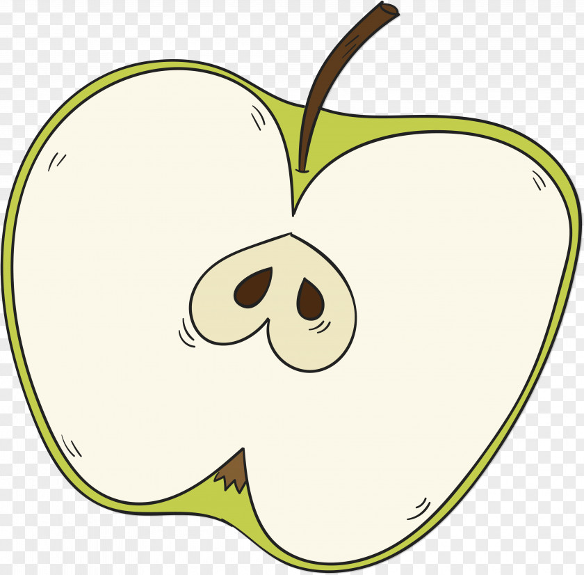 Hand Painted Half Green Apple PNG