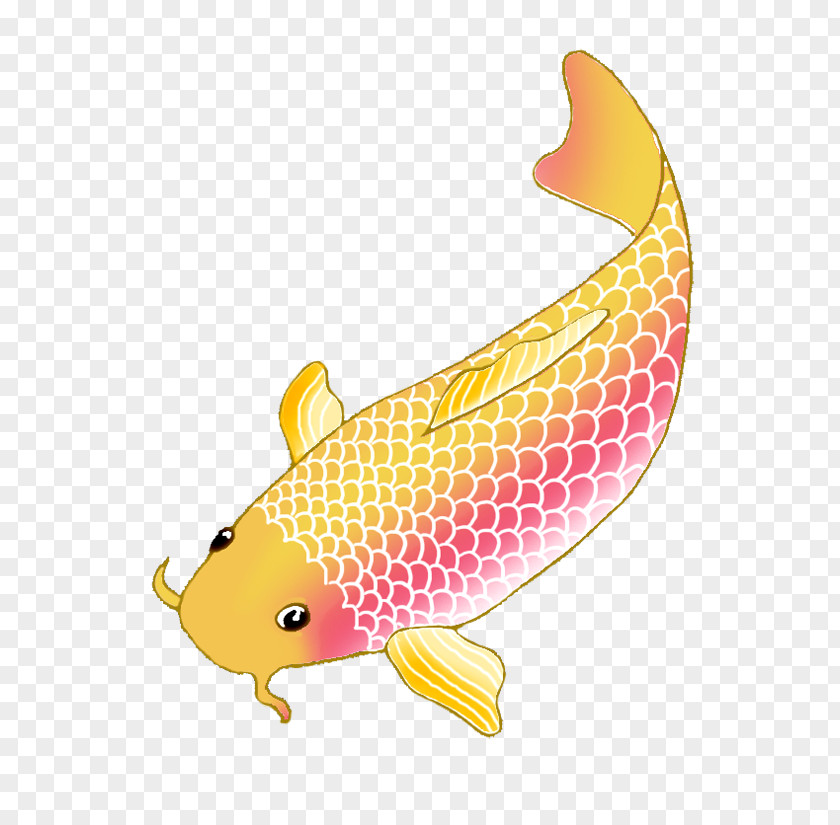 Koi Angelfish Drawing Clip Art PNG