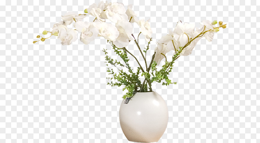 Vase Flower PNG