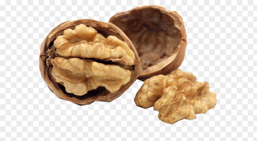 Walnut Nutrient Food Nutrition Dietary Supplement PNG