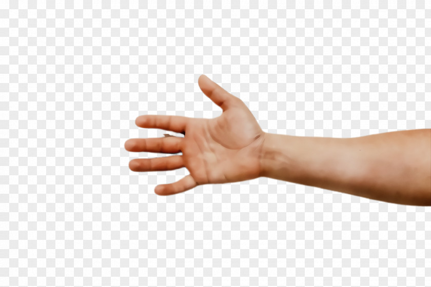 Nail Wrist Finger Hand Arm Gesture Thumb PNG
