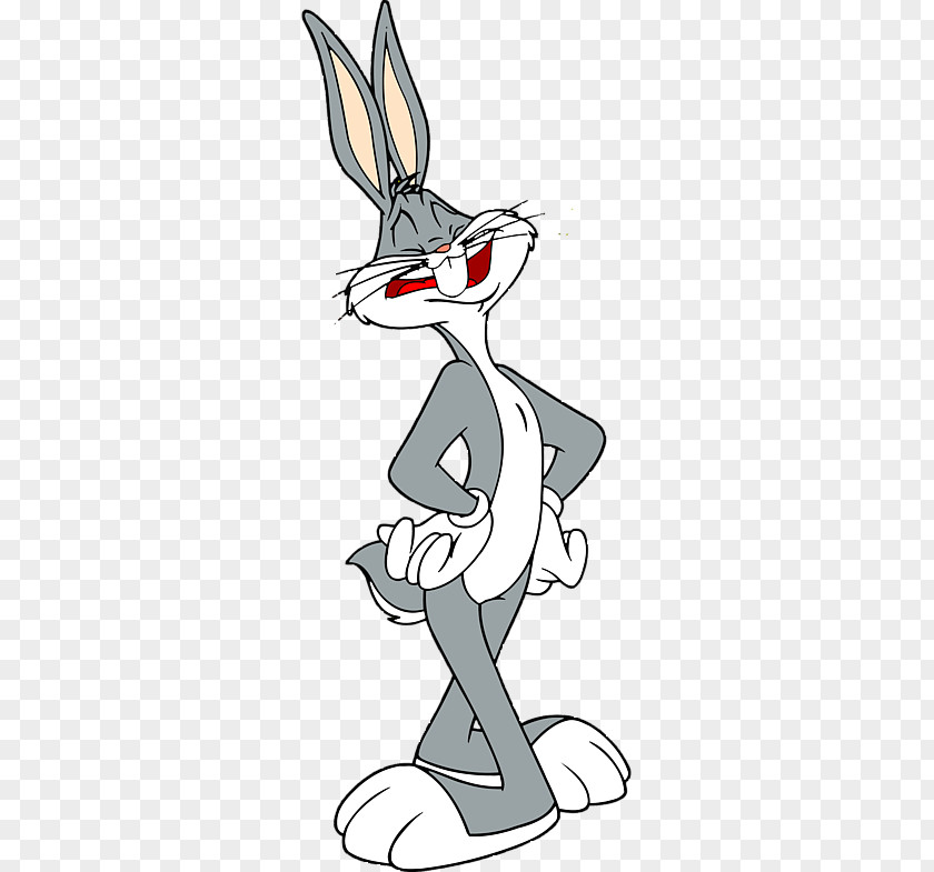 Rabbit Bugs Bunny Domestic Vector Graphics Looney Tunes PNG