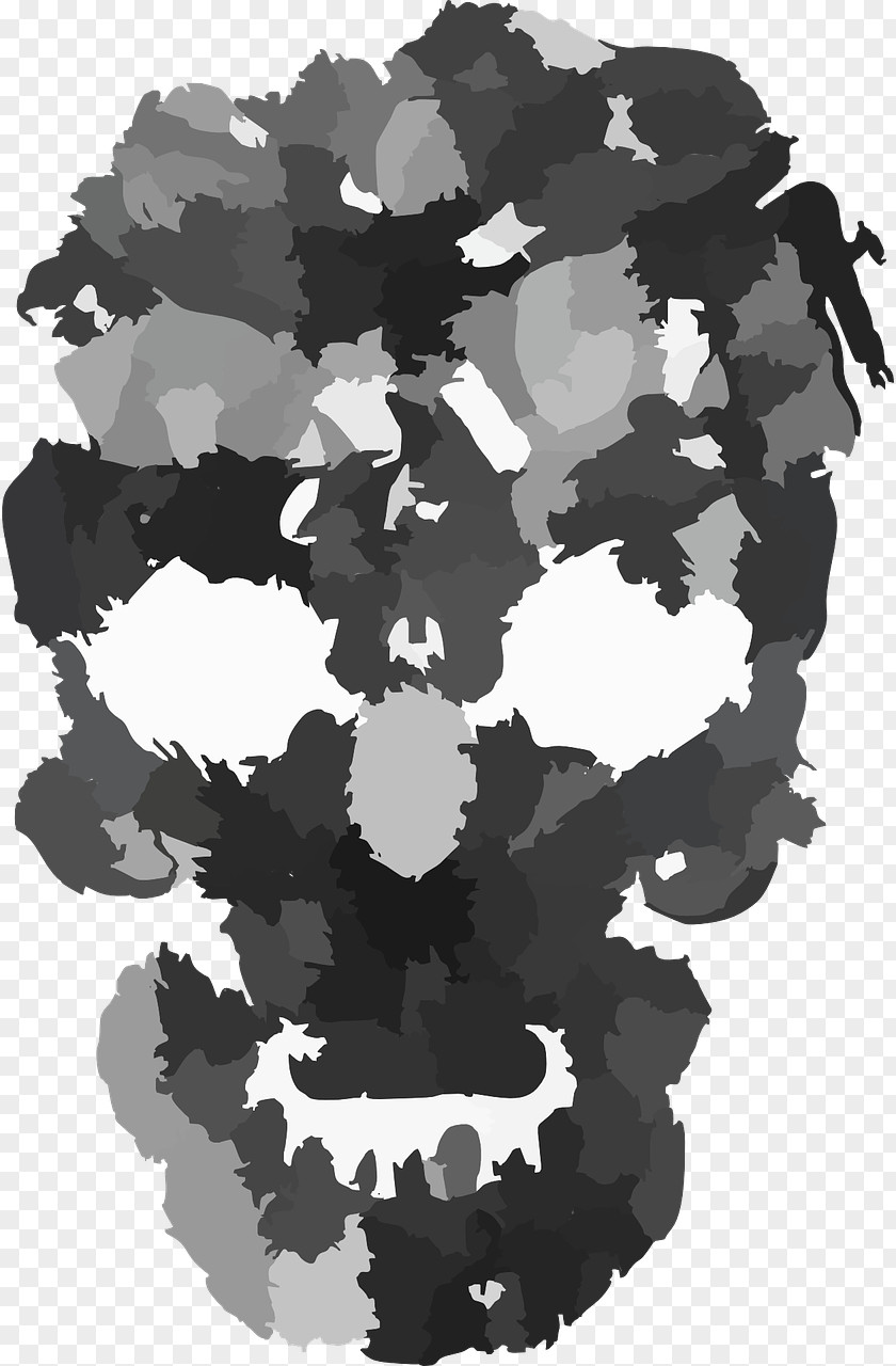 Skull Face PNG