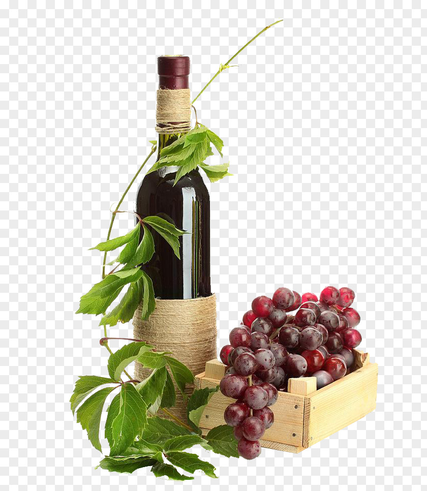 Twining Vines Wine Red Champagne Sparkling Grape PNG