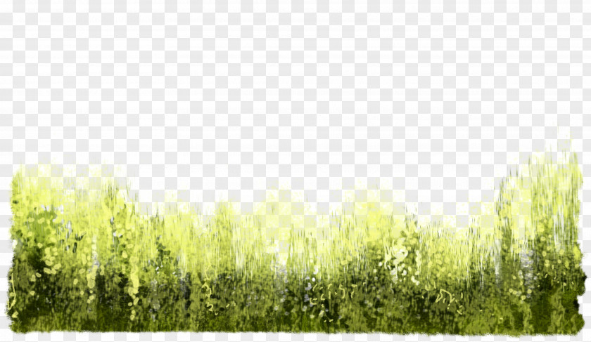 Watercolor PNG Watercolor,grass clipart PNG