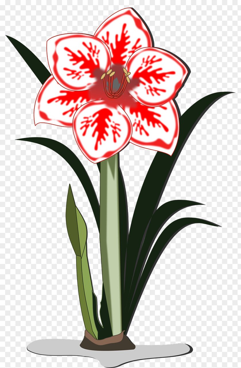 Amaryllis Floral Design Jersey Lily Cut Flowers Flowerpot PNG