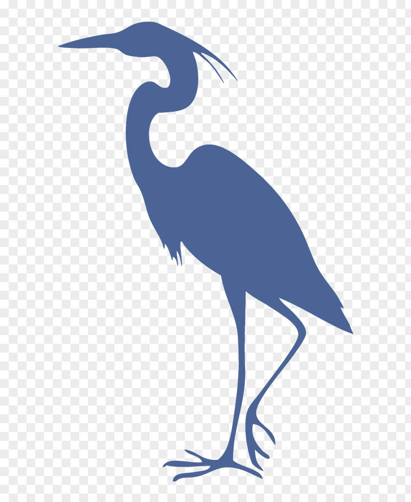 Billboard Background Great Blue Heron Grey Bird Cleaning PNG