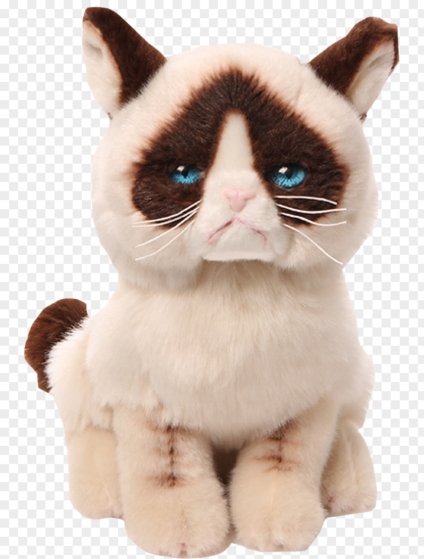 Cat Amazon.com Stuffed Animals & Cuddly Toys Grumpy Gund PNG